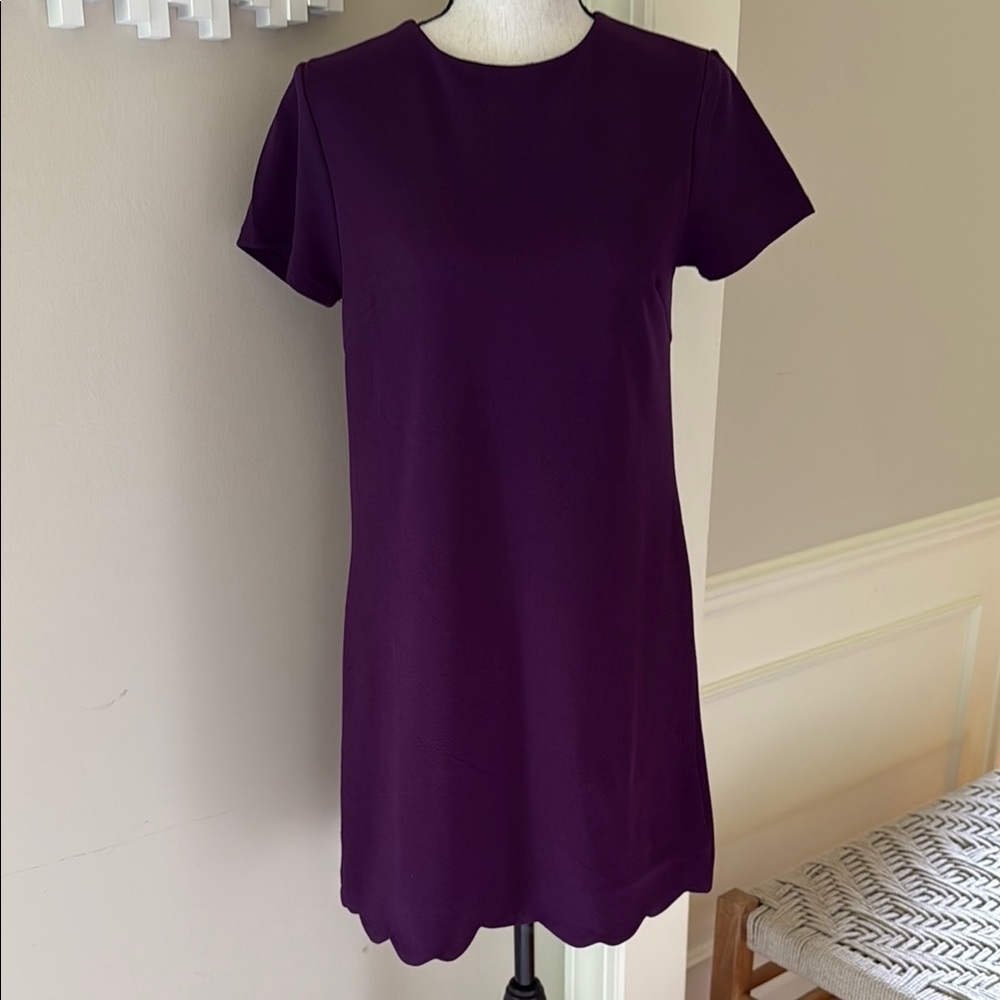 Miami Women's S Purple Dress Scalloped Hem Short Sleeve